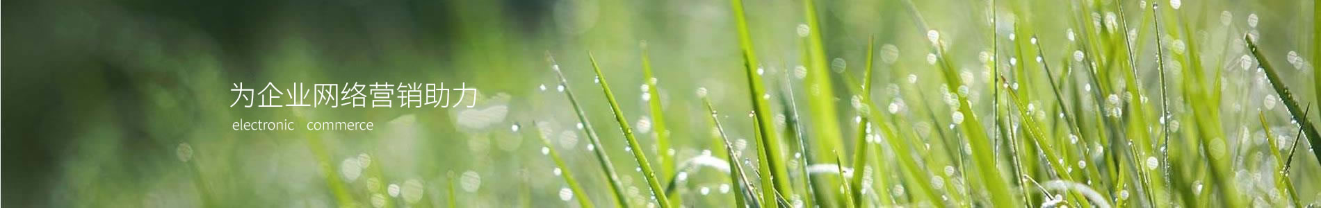 ӱԴҵ޹˾